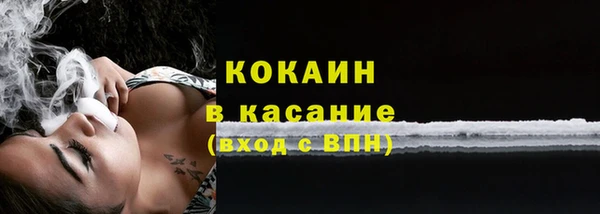 индика Белокуриха