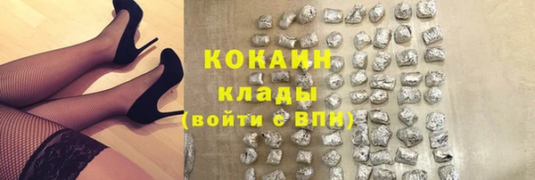 трава Балахна