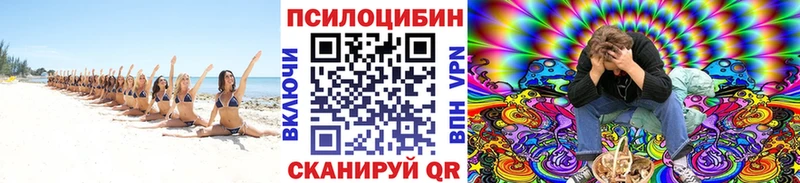 Купить закладки  Серафимович  Галлюциногенные грибы прущие грибы 