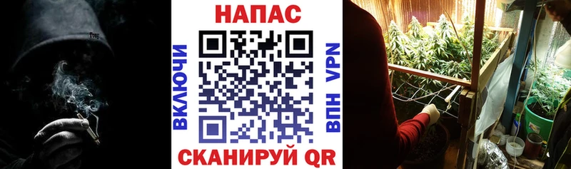 Конопля THC 21%  Купить закладки  Серафимович 